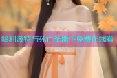 哈利波特与死亡圣器下免费在线看