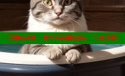 天国的凤凰:畅享高清国语版,尽在掌握
