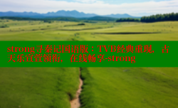 strong寻秦记国语版：TVB经典重现，古天乐宣萱领衔，在线畅享-strong