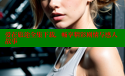 爱在旅途全集下载,畅享精彩剧情与感人故事